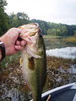 image Big Largemouths and Smallmouths 016.JPG